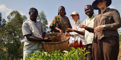 Uganda, Solidaridad, farmer training 2024