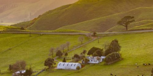 Cool Farm Biodiversity metric_new zealand agriculture