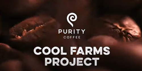 Is your Coffee Cool_Purity Coffee