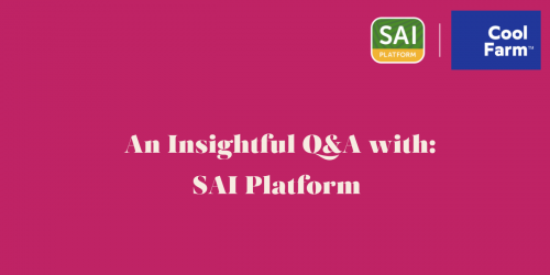 Q&A with SAI Platform