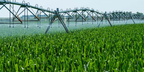 Water irrigation system spraying crops